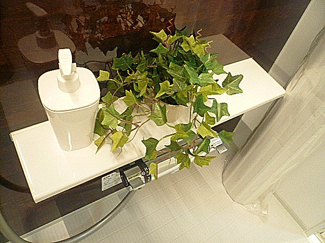 浴室　カウンター部分です。