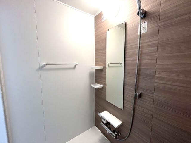 パーク・ハイム文京春日 (37)浴室