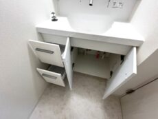 パーク・ハイム文京春日洗面室