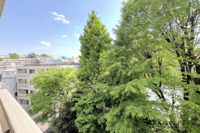 サンファミール西早稲田 眺望