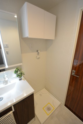 日生野沢マンション 洗面室