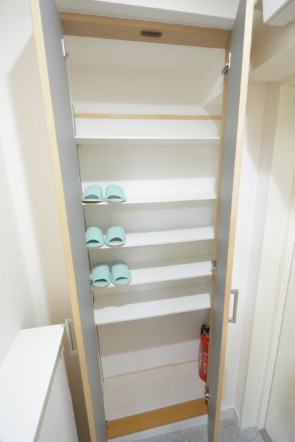 五反田サマリヤマンション 玄関