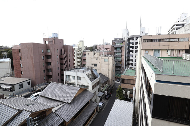 ミリオングランデ元赤坂ヒルズ (39)バルコニー