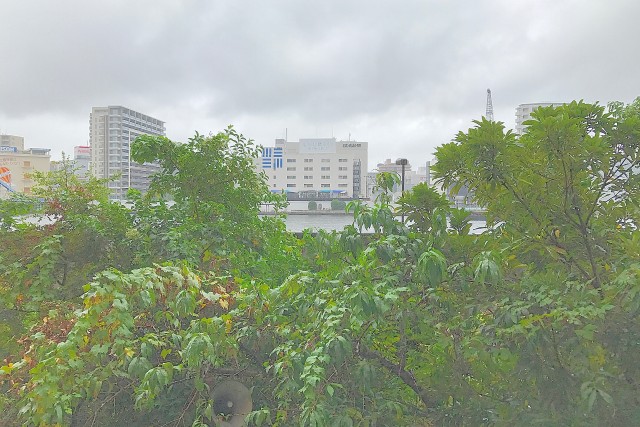 浜町グランドハイツ バルコニー