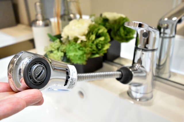 ライオンズマンション千石 洗面室