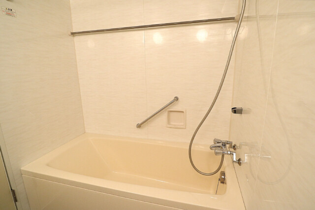 ミリオングランデ元赤坂ヒルズ (35)UB