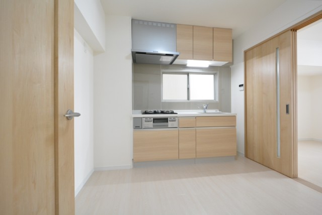 五反田サマリヤマンション DK+L