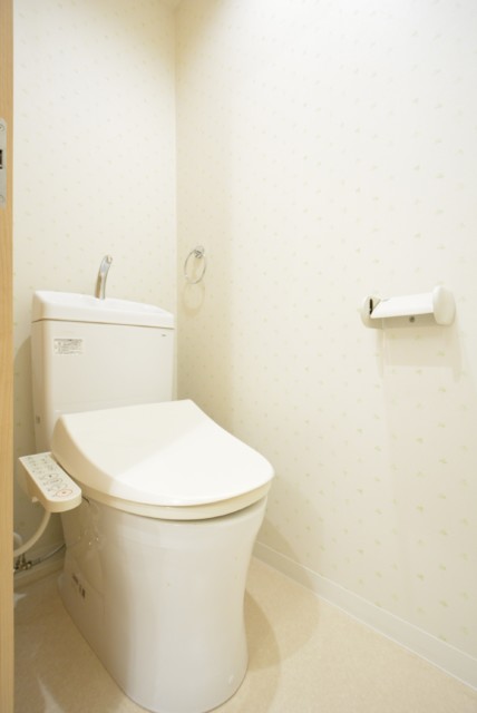 五反田サマリヤマンション トイレ