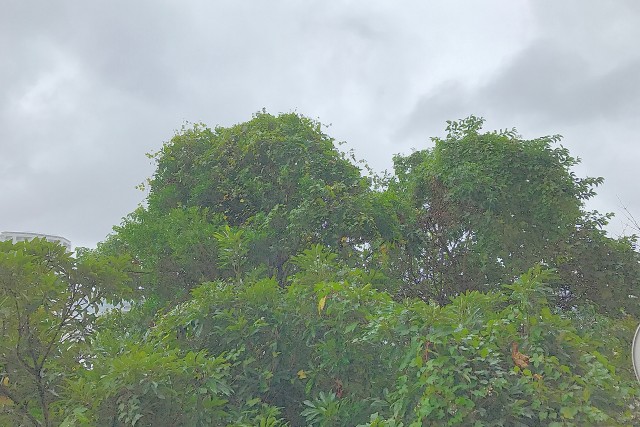 浜町グランドハイツ バルコニー