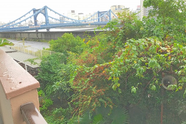 浜町グランドハイツ バルコニー