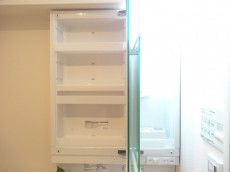 鏡の裏は一面収納です