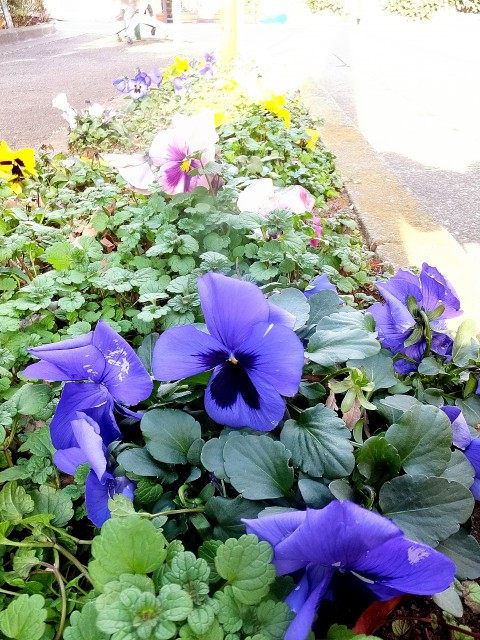 コスモヒルズ東松原周辺⑤