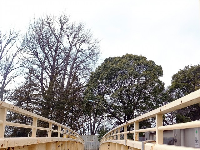 メナー代田　周辺