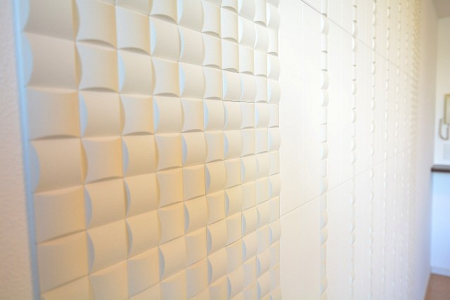 ミサワホームズ東大井　壁面にはエコカラット♪