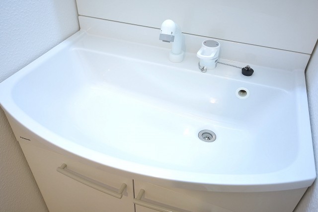 メイゾン西麻布　幅の広い洗面ボウル