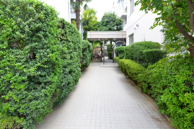 パークハイム上馬　アプローチ402