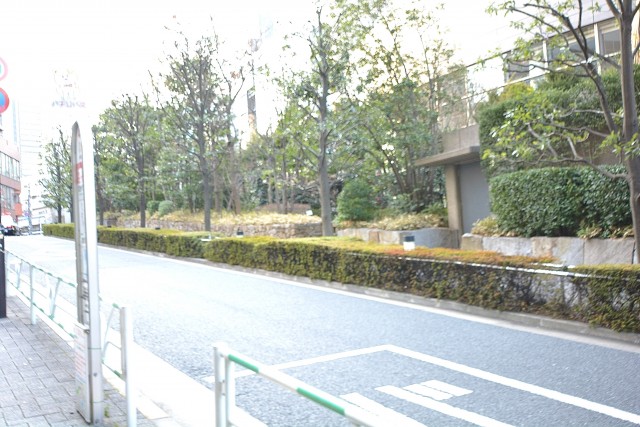 セルフィスタ渋谷　周辺環境