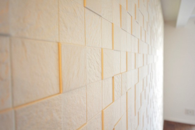 タウンシップ尾山台　壁にはエコカラット