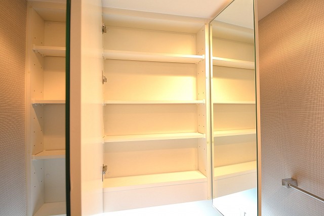大崎南パークハウス　3面鏡の裏は一面収納♪