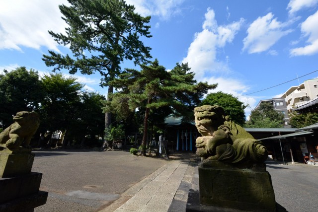 パークハイム上馬　周辺環境402