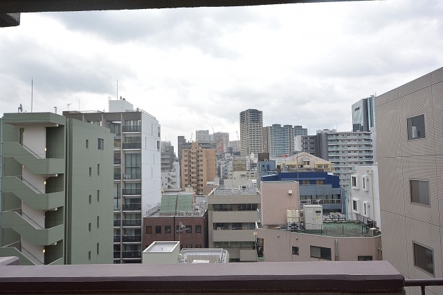 芝パークサイドハイツ 眺望