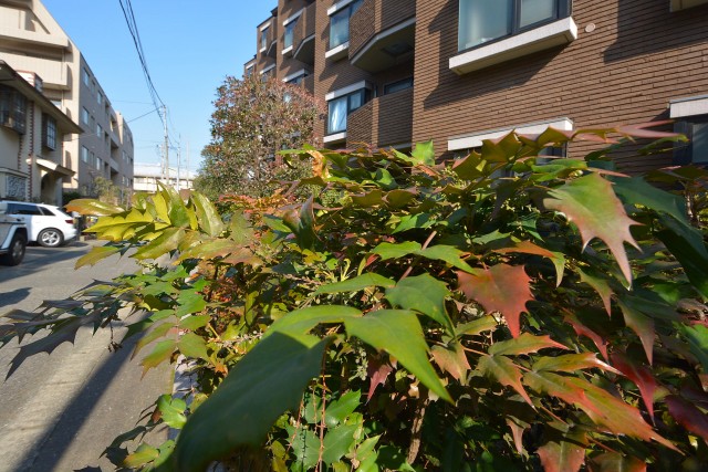 タウンシップ尾山台　外観