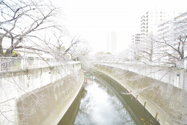 グランテラッセ西早稲田　周辺