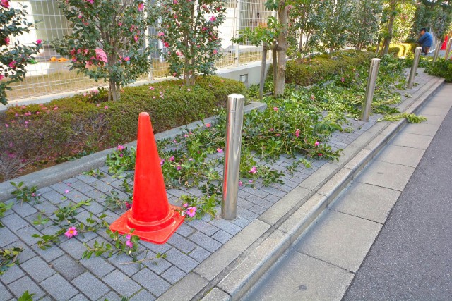 大崎南パークハウス　植栽