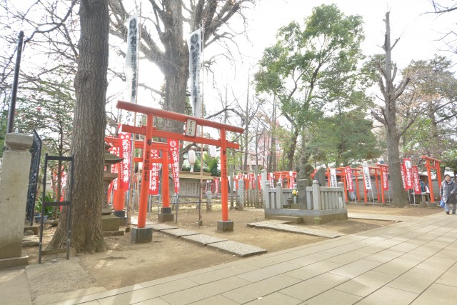 目白ガーデニア　鬼子母神