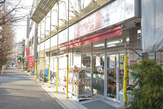 ヴィンテージ高円寺南　周辺