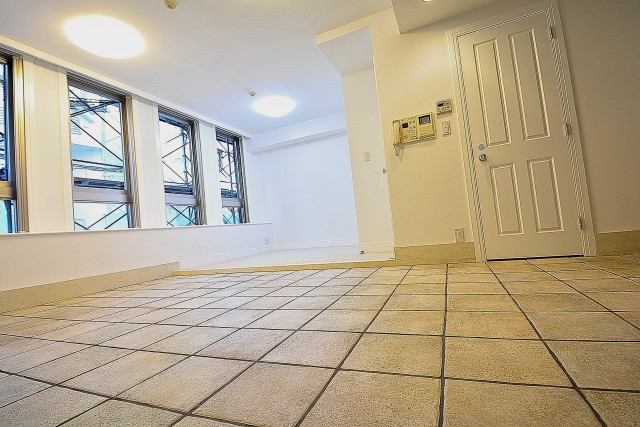 ビラハイツ北の丸　玄関