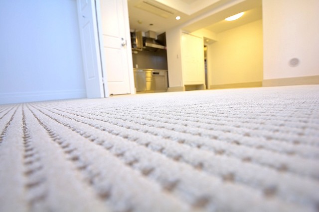 ビラハイツ北の丸　玄関