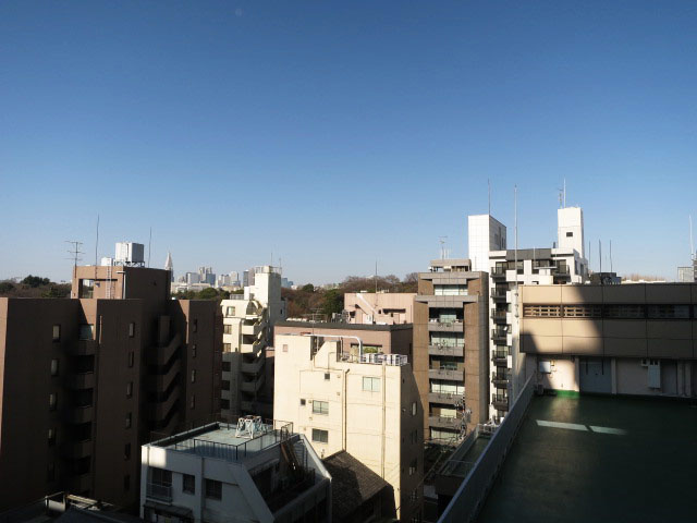 ミリオングランデ元赤坂ヒルズ　眺望