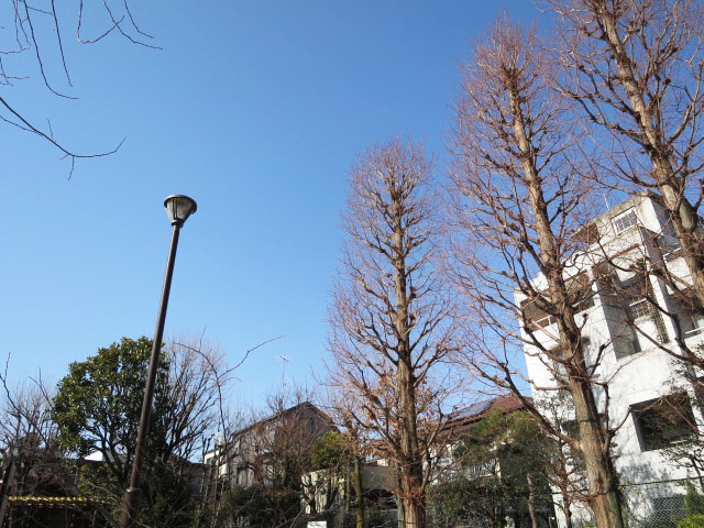 サンセゾン若松町　周辺環境