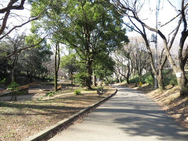 オーシャンプラザ若松町　周辺環境