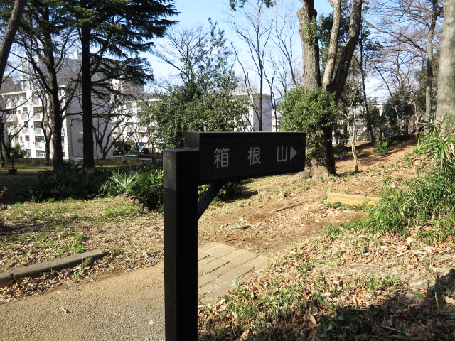 オーシャンプラザ若松町　周辺環境