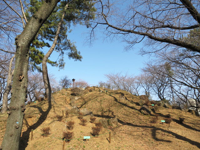 オーシャンプラザ若松町　周辺環境