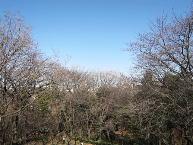 オーシャンプラザ若松町　周辺環境