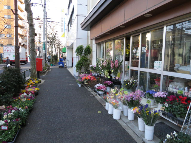 オーシャンプラザ若松町　周辺環境