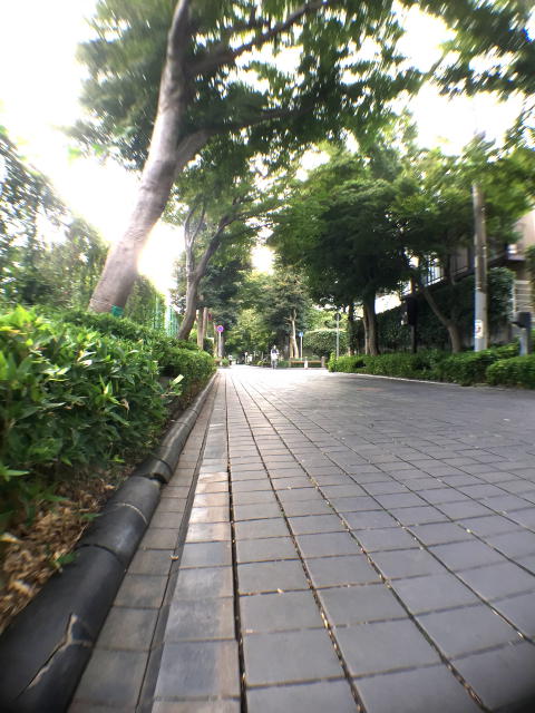 藤和用賀コープ　周辺環境