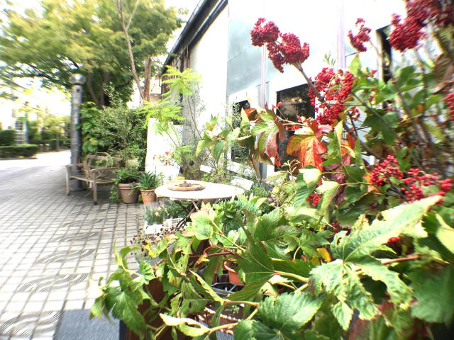 藤和用賀コープ　周辺環境