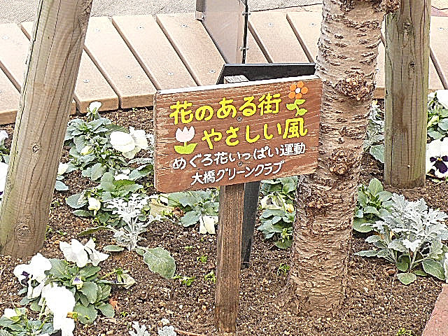 藤和青葉台コープ　マンションまでの道のり