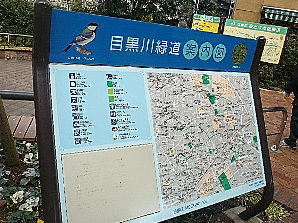 藤和青葉台コープ　目黒川緑道