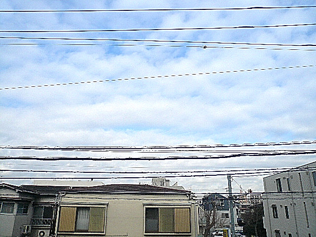 2階からの眺望。