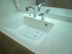 おしゃれな洗面ボウル。