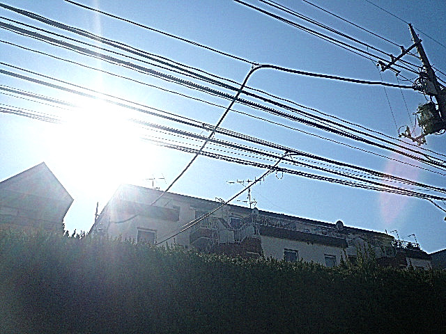 バルコニーからの眺望。