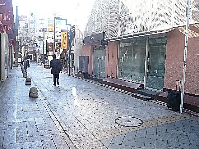 小堀自由が丘マンション　マンションまでの道のり