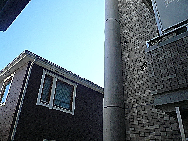 1階からの眺望です。