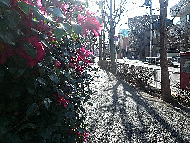 碑文谷ヒルズサレジオ通り　マンションまでの道のり　