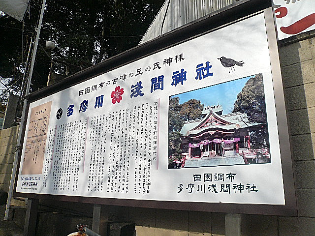 田園調布サニーハイツ　多摩川浅間神社